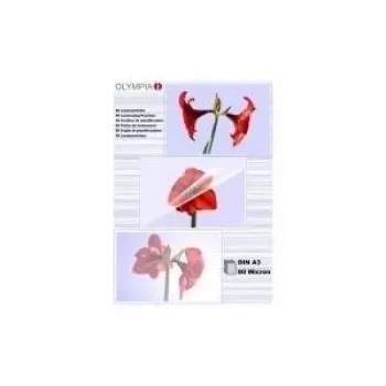 1x25 fundas de laminar Olympia DIN A3 80 micras 9180