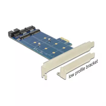 DeLOCK 89374 tarjeta PCI Express x1 a 2x M.2 NGFF internos