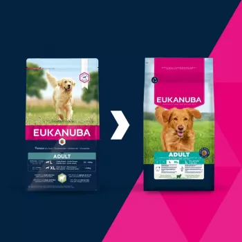 Pienso seco para perros EUKANUBA Adult Large Breed Lamb & Rice 12 kg – alimento completo para perros adultos de razas grandes y gigantes