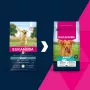 Pienso seco para perros EUKANUBA Adult Large Breed Lamb & Rice 12 kg – alimento completo para perros adultos de razas grandes y gigantes
