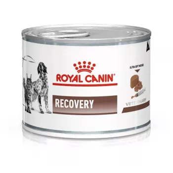 Comida húmeda para convalecencia Royal Canin Recovery Adult 195 g — ave, 73 % humedad, 12,7 % proteína