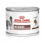 Royal Canin Recovery comida húmeda para perros y gatos, 195 g