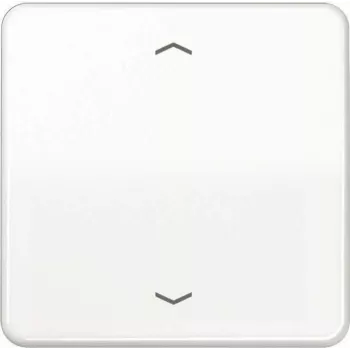 JUNG CD 1700 P WW tecla de control estándar símbolos de flecha CD1700PWW