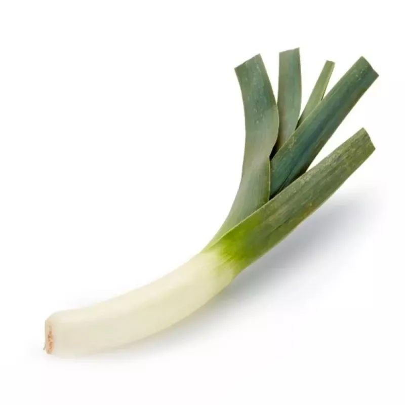 PNOS puerro Starozagorski Kamush semillas de hortalizas, 1 g