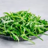 PNOS rúcula Eruca sativa semillas en cinta, 6 m