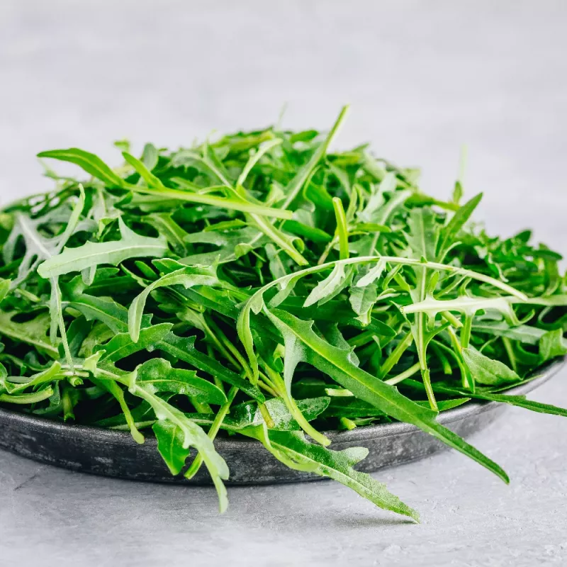 PNOS rúcula Eruca sativa semillas en cinta, 6 m