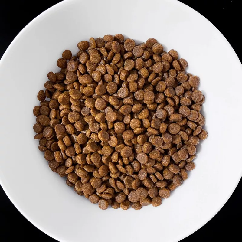 VET RESPONSE Gastrointestinal - Pienso seco para gatos - 1,6 kg