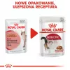 Royal Canin FHN Instinctive comida húmeda en paté para gatos adultos, 12 x 85 g