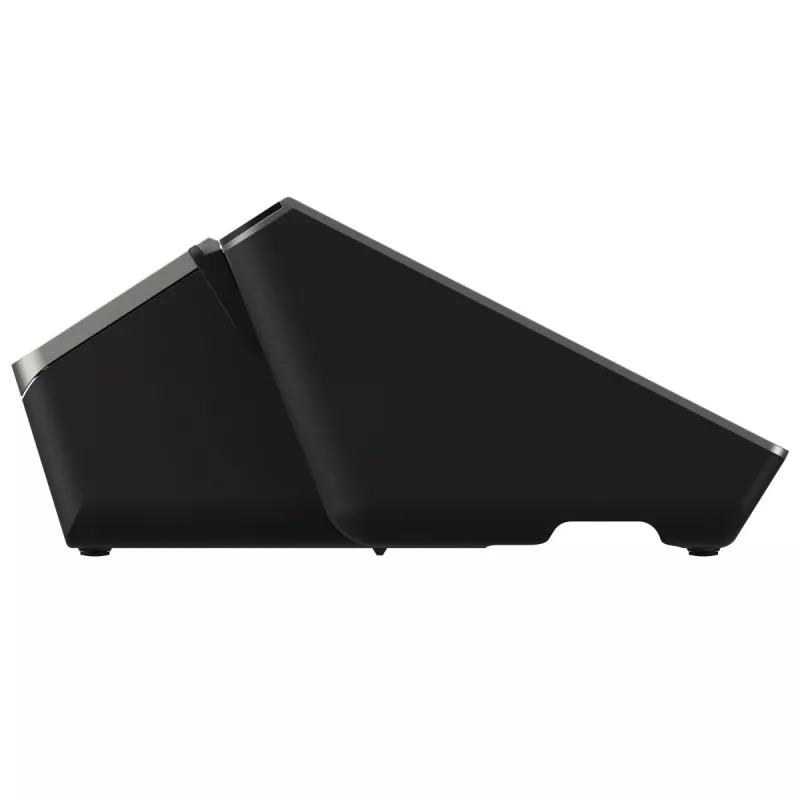 Terminal TPV SUNMI D3 MINI 10,1
