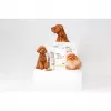 Pienso seco para perros nature's protection Superior Care Red Coat Adult Small breed sin cereales salmón 10 kg