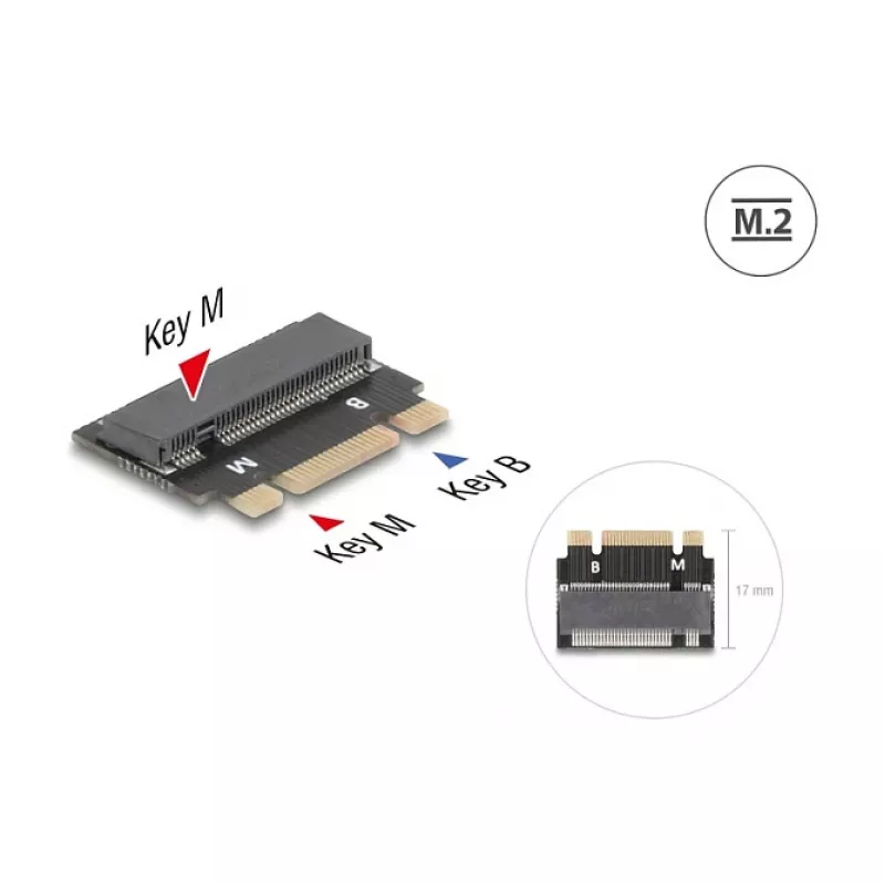 DeLOCK 64342 adaptador M.2 interno interfaz host M.2 macho negro