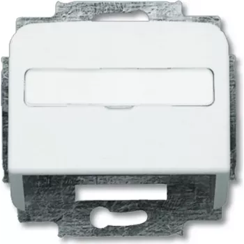 Busch Jaeger 1724-0-1663 Placa de pared/tapa de interruptor Plata - Blanco (1724-0-1663)