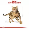Royal Canin Bengal Adult pienso seco para gatos, 2 kg, aves y verduras