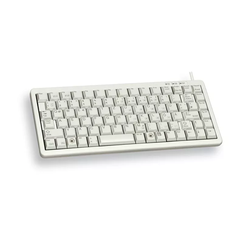 CHERRY G84-4100 teclado universal USB QWERTY inglés de EE. UU. gris