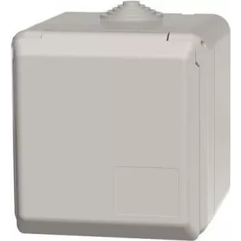 MENNEKES Elektrotechnik GmbH & Co. KG Toma de pared Cepex 32A 5p 6h 400V IP44 4110 (4110)