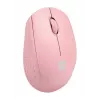 Ratón NATEC STORK hogar ambidiestro RF inalámbrico + USB Type-A óptico 1600 DPI