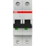 Interruptor automático 6kA 6A C 2p S202-C6 (2CDS252001R0064)