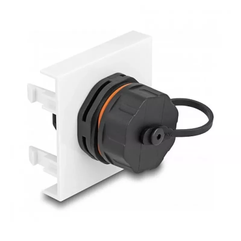 Módulo Easy 45 DeLOCK red RJ45 Cat.6A 45x45mm 1000 Mbit/s negro