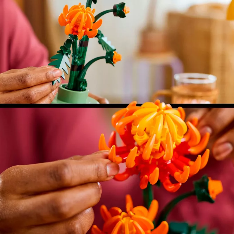 LEGO Icons set de construcción de flores de crisantemo, set creativo de modelismo para adultos para construir una planta artificial, regalo para mujeres hombres ella o él decoración para casa oficina