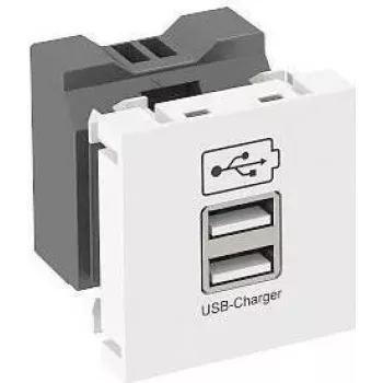 OBO Cargador USB con 2,1 A de corriente de carga MTG-2UC2.1 RW1 - 45 x 45 mm (6105300)