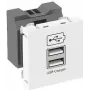 OBO Cargador USB con 2,1 A de corriente de carga MTG-2UC2.1 RW1 - 45 x 45 mm (6105300)