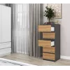 Cómoda Top e Shop W5 ANT/ART, 5 cajones, antracita/roble, tablero de partículas
