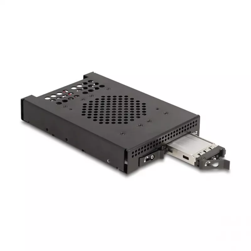 Caja para SSD DeLOCK 47117 bastidor extraíble de 3,5 pulgadas para 2 x SSD M.2 NVMe