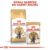 Royal Canin British Shorthair Adult pienso seco para gatos, 10 kg