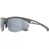 Gafas de sol Alpina Nylos HR Cat. 3 gris