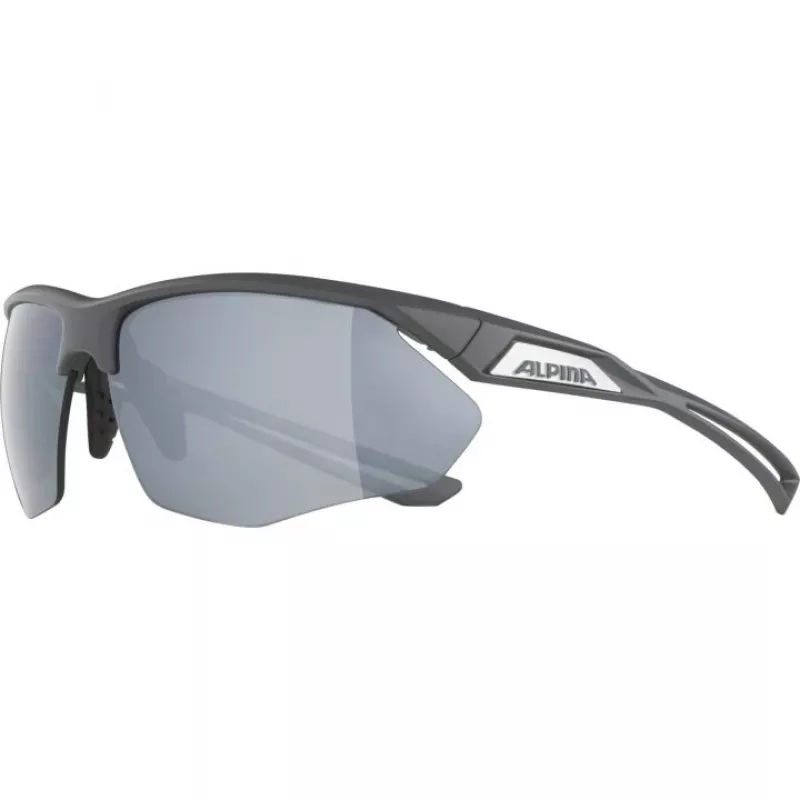 Gafas de sol Alpina Nylos HR Cat. 3 gris