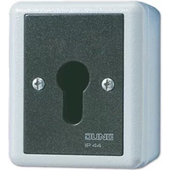 Jung 806.28 G Interruptor de llave, bipolar conmutado
