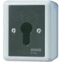 Jung 806.28 G Interruptor de llave, bipolar conmutado