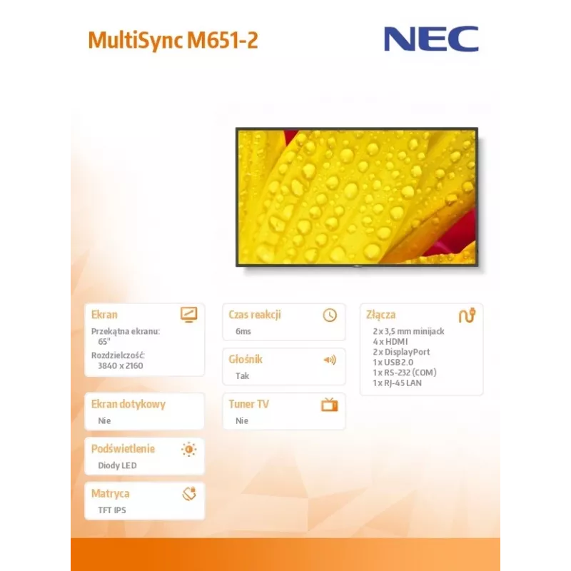 NEC MultiSync M651-2 diseño kiosco 165,1 cm (65