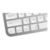 Teclado MX Keys Mini Mac Pale 920-010526 gris