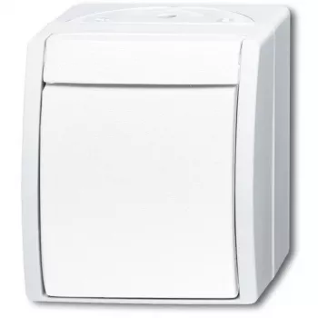 BUSCH-JAEGER Pulsador basculante/contacto de cierre 2621W-54 ocean blanco alpino 2621W-54 (1484-0-0380)