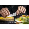 Cuchillo de mechar y decorar Zwilling TANREI 10 cm