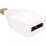 DisplayPort Mini M/HM DeLOCK DP Mini M DP HM blanco