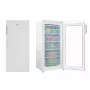 Amica FZ208.3AA(E) congelador de libre instalación, de una puerta, control mecánico, 39 dB, clase energética E, blanco