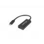 Adaptador de cable de vídeo Lanberg AD-UC-DP-01