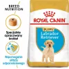 ROYAL CANIN SHN Breed Labrador Junior Alimento seco para perros - 12 kg