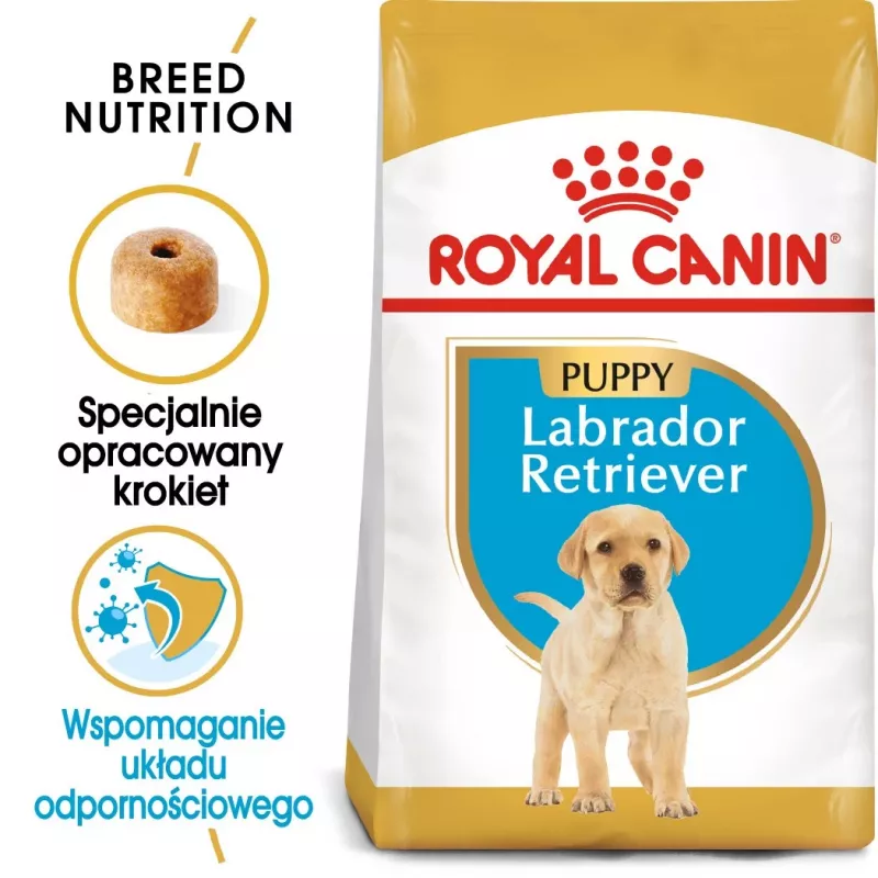 ROYAL CANIN SHN Breed Labrador Junior Alimento seco para perros - 12 kg