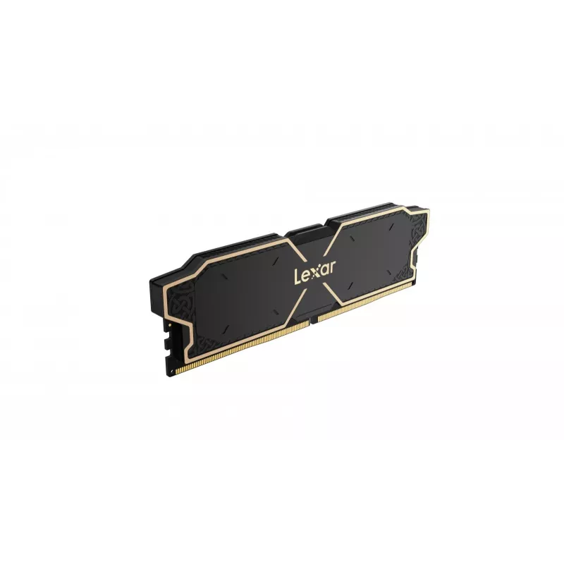 Módulo de memoria Lexar LD5U08G60C38LG-RGD
