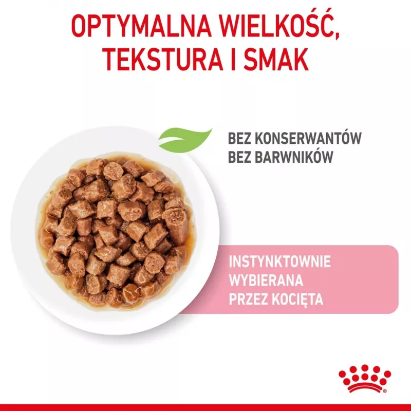 Royal Canin FHN Kitten Sterilised comida húmeda para gatos en salsa, pack de 12 x 85 g