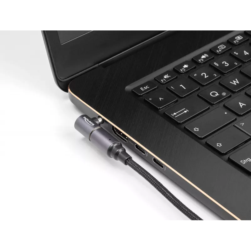 Cable de alimentación DeLOCK 80781 0,15 m USB-C 8-Pin 20 V