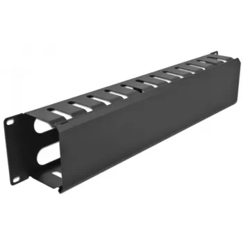 DeLOCK - Placa de guiado de cables para armario eléctrico - Negro - 2U - 48,3 cm (19) (66553)