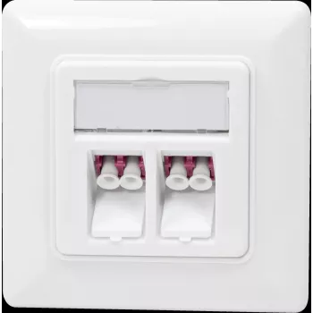 Logilink - Toma keystone - con ventana de etiquetado - LC dúplex - en ángulo - simple - 2 tomas de red - 2 módulos - blanco, RAL 9010 (NK402
