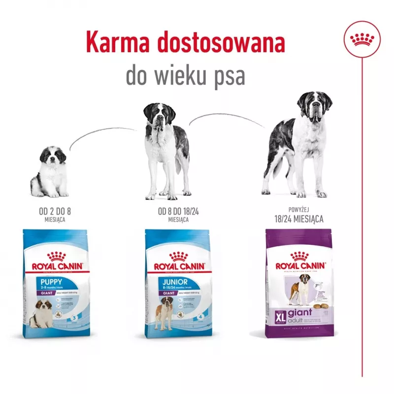 ROYAL CANIN Giant Adult - Pienso para perros - 15 kg