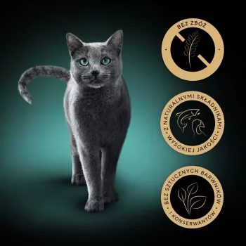 Comida húmeda para gatos Sheba Nature's Collection Mix 40×85 g bolsas — gatos adultos, sabor principal pavo, humedad 83%, proteína 7,8%