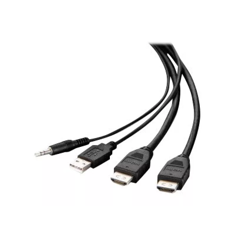 Cable combo Belkin Secure KVM - Cable de vídeo / USB / audio - conforme a TAA - USB, minijack, HDMI (M)