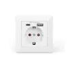 DIGITUS DA-70615 - Toma de corriente - 2P+E - tipo F, USB, USB Type C - con cierre - 1 toma de corriente, 2 puertos USB - 2.8 A - blanco, RAL 9003